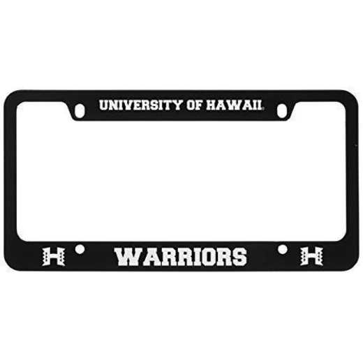 SM-31-BLK-HAWAII-1-LRG: LXG SM/31 CAR FRAME BLACK, Hawaii